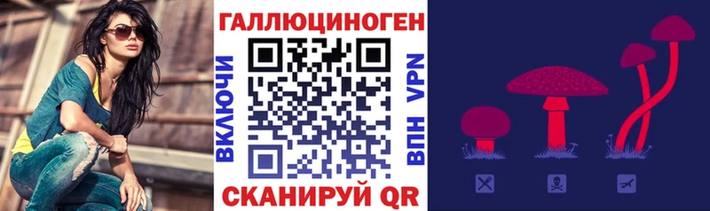 купить  цена  Электросталь  Псилоцибиновые грибы ЛСД 